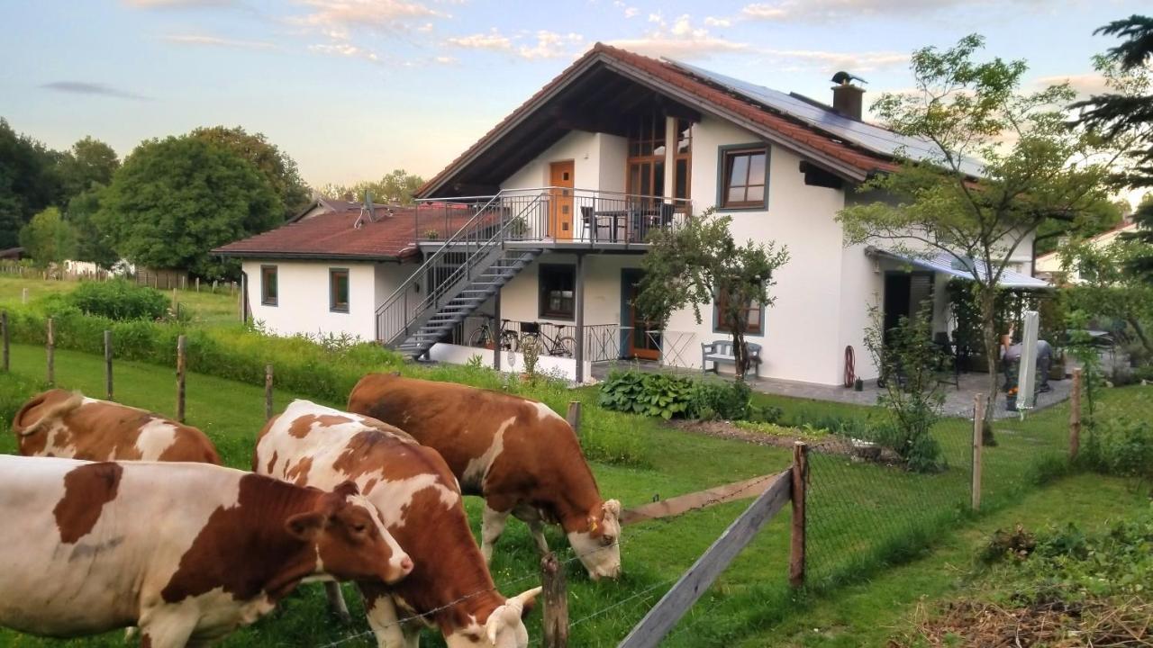 Exclusiv - Ferienwohnung Hinterreiter Ainring Eksteriør billede